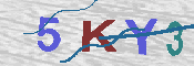 キャプチャ画像