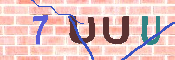 キャプチャ画像