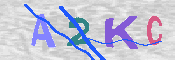 キャプチャ画像