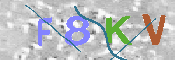 キャプチャ画像