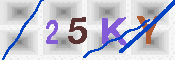 キャプチャ画像