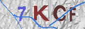 キャプチャ画像