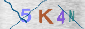 キャプチャ画像