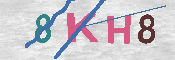 キャプチャ画像
