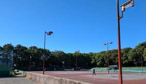 PXL_20251013_051141327