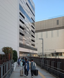 PXL_20251107_223553587