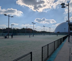 PXL_20251116_043548886