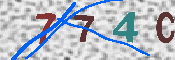 キャプチャ画像