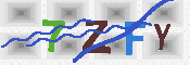 キャプチャ画像