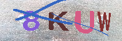 キャプチャ画像