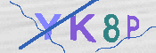 キャプチャ画像