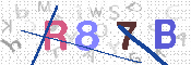キャプチャ画像