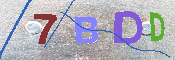 キャプチャ画像