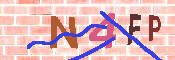 キャプチャ画像