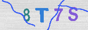 キャプチャ画像