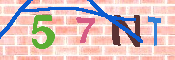 キャプチャ画像
