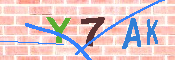 キャプチャ画像