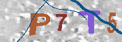 キャプチャ画像
