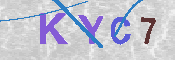 キャプチャ画像