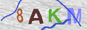キャプチャ画像