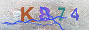 キャプチャ画像