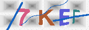 キャプチャ画像