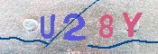 キャプチャ画像