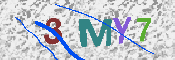 キャプチャ画像