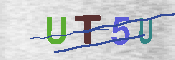 キャプチャ画像