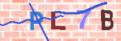 キャプチャ画像