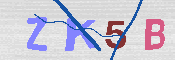 キャプチャ画像