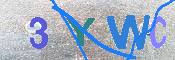 キャプチャ画像