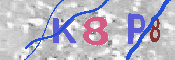 キャプチャ画像