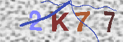 キャプチャ画像