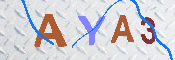 キャプチャ画像