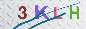 キャプチャ画像