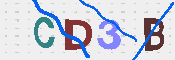 キャプチャ画像