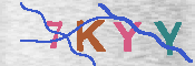 キャプチャ画像