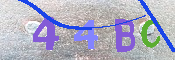 キャプチャ画像