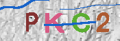 キャプチャ画像
