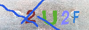 キャプチャ画像
