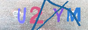キャプチャ画像