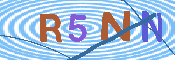 キャプチャ画像