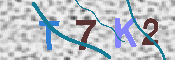 キャプチャ画像