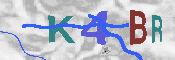 キャプチャ画像