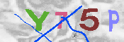 キャプチャ画像