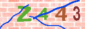 キャプチャ画像