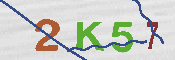 キャプチャ画像