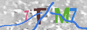 キャプチャ画像