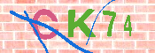 キャプチャ画像